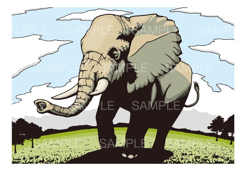 象のイメージイラスト